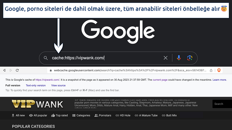 Screenshot showing Google Cache