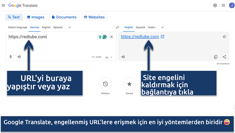 Screenshot showing the Google Translate interface typing in RedTube