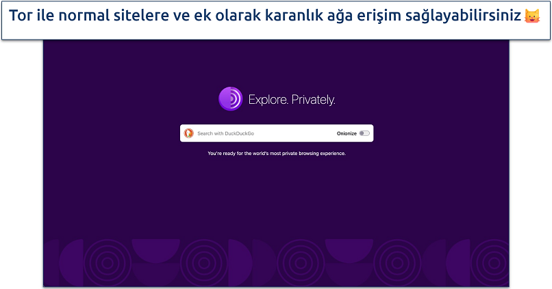 Screenshot of the Tor Browser homepage